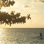 peddelen-zee-the-lovina-balitravel