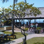peneeda-view-sanur-balitravel
