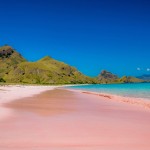 pink-beach-komodo-eilanden-1