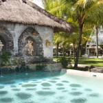 pool-baliwood-the-mansion-ubud-1