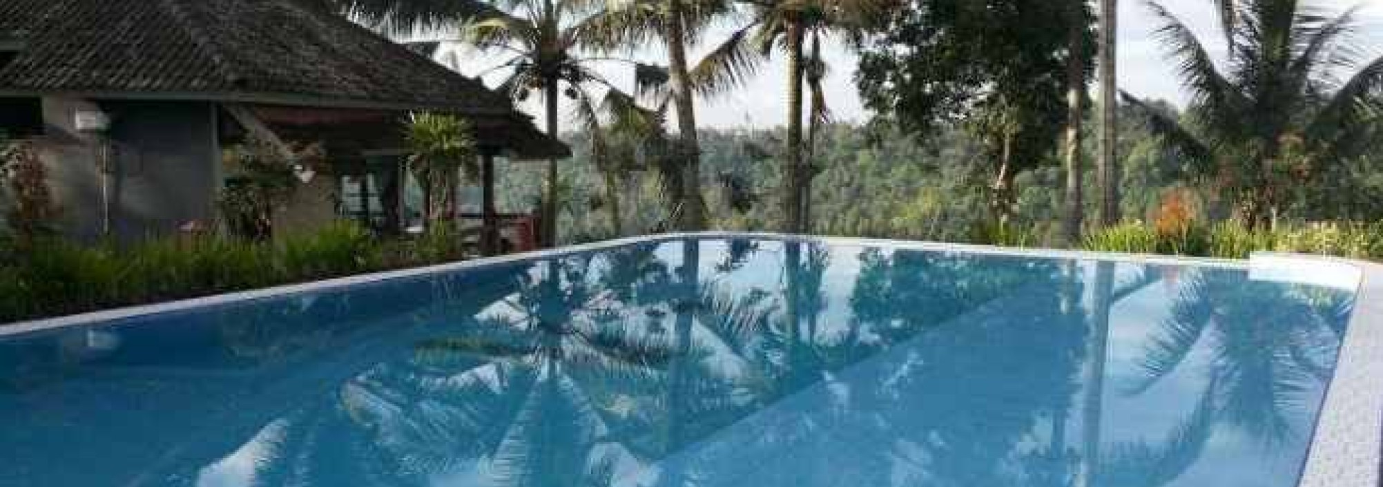 pool-ijen-cliff-resort-java-balitravel