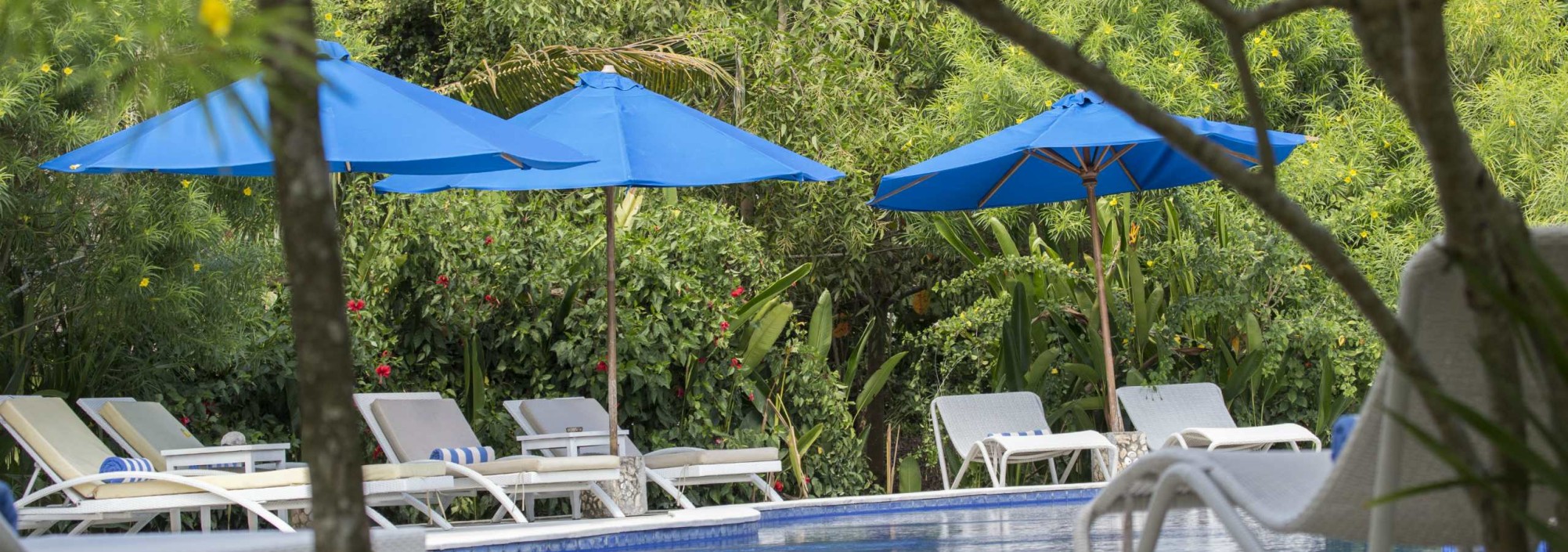 pool-puri-sari-balitravel