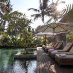 pool-radha-phala-ubud-1