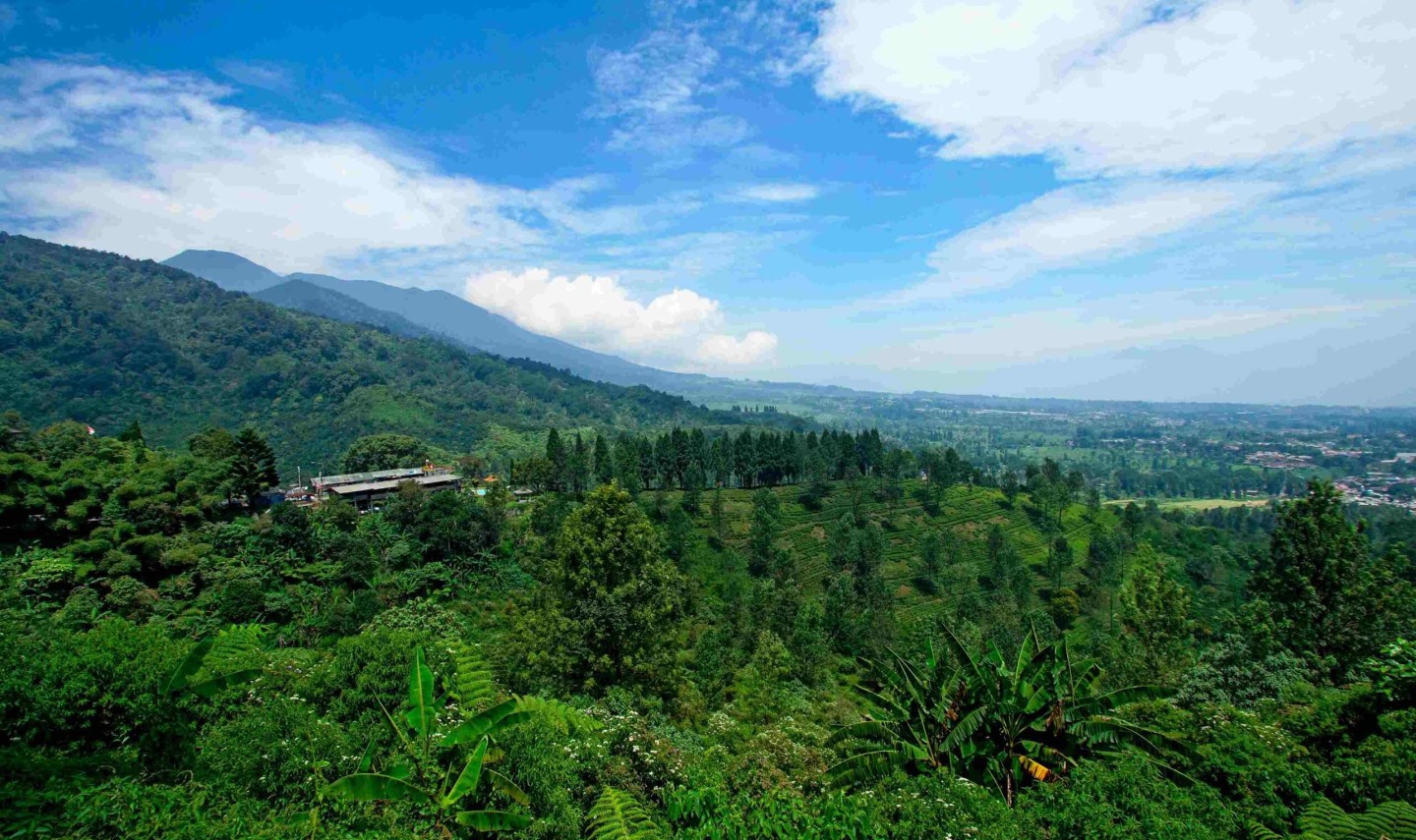 puncak-pass-java