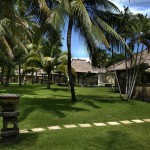 puri-bagus-lovina-bungalows-balitravel