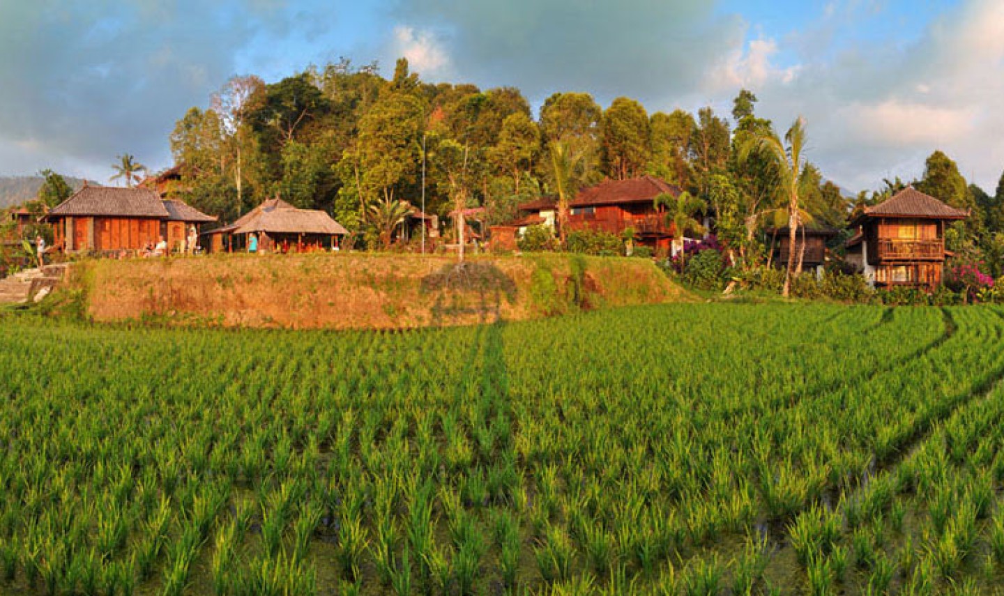 puri-lumbung-cottages-balitravel-4-2