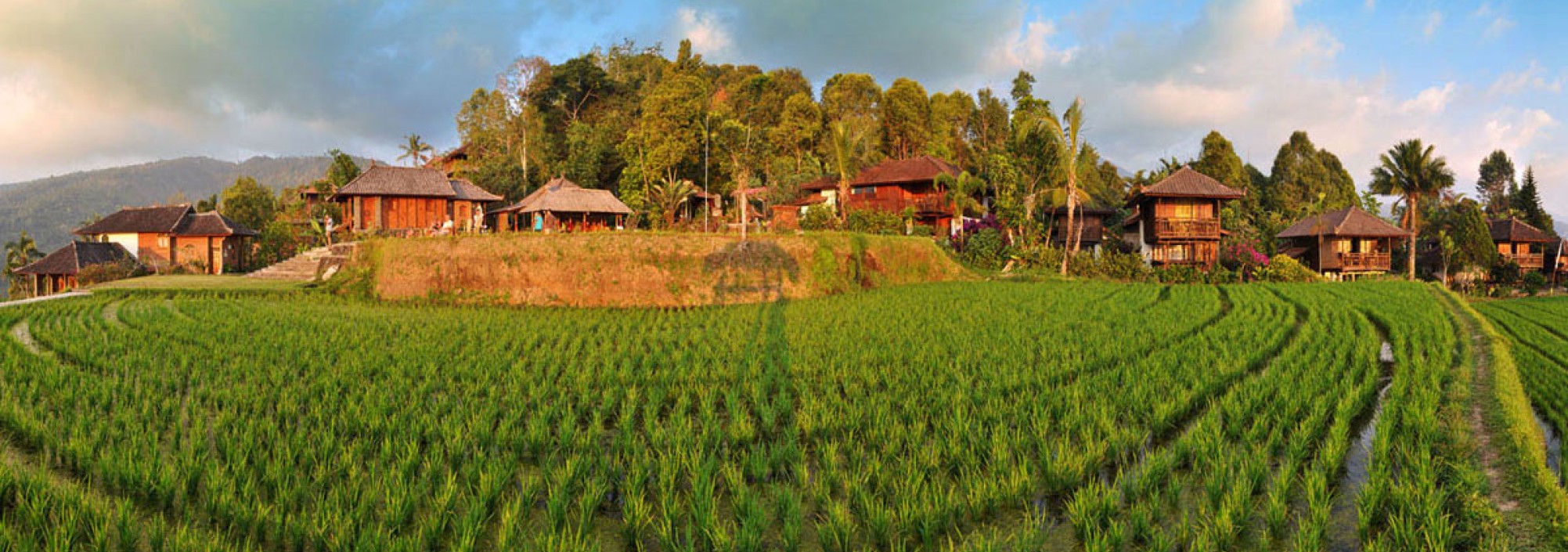 puri-lumbung-cottages-balitravel-4-3
