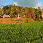 puri-lumbung-cottages-balitravel-4-3