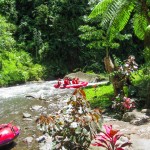 raften-rivier-bali