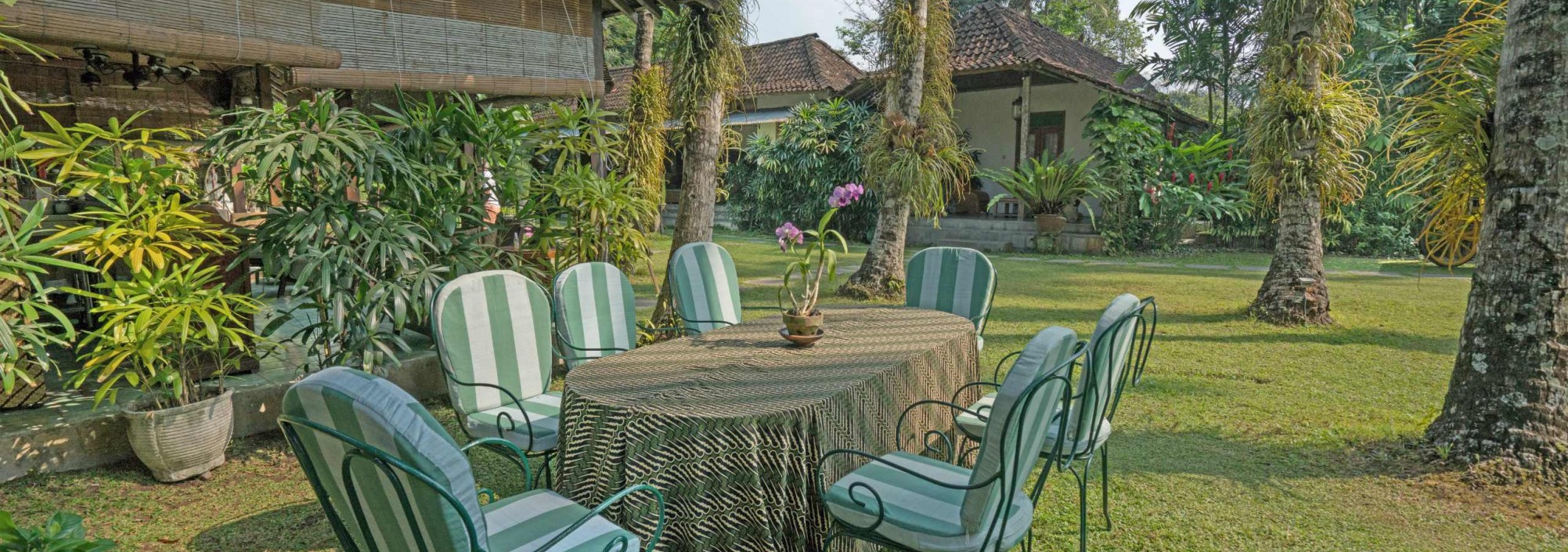 relax-d-omah-yogyakarta-balitravel