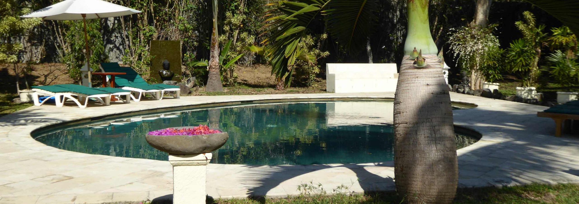 relax-pool-rumah-kita-kalibaru-balitravel