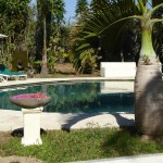 relax-pool-rumah-kita-kalibaru-balitravel