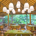 restaurant-d-omah-yogyakarta-balitravel