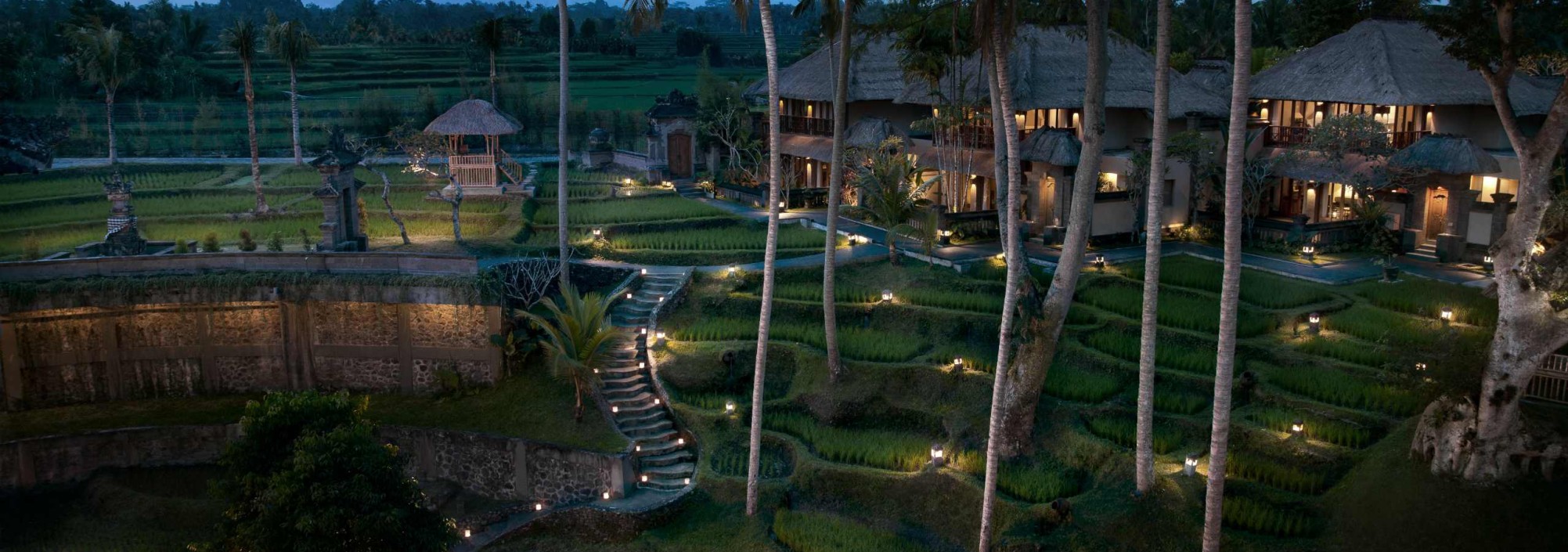 rice-paddies-night-kamandalu-ubud-balitravel