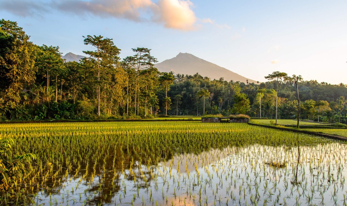 rijstterrassen-tetebatu-lombok-balitravel-1