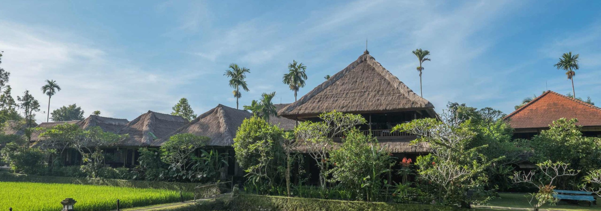 rijstvelden-ananda-cottages-ubud-balitravel