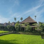 rijstvelden-ananda-cottages-ubud-balitravel