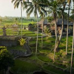 rijstvelden-kamandalu-ubud-balitravel