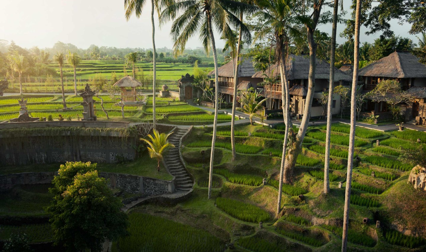 rijstvelden-kamandalu-ubud-balitravel