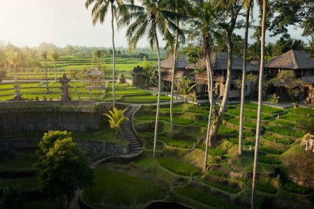 rijstvelden-kamandalu-ubud-balitravel