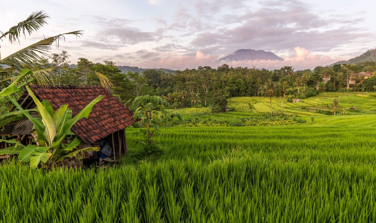 rijstvelden-sidemen-op-bali-3