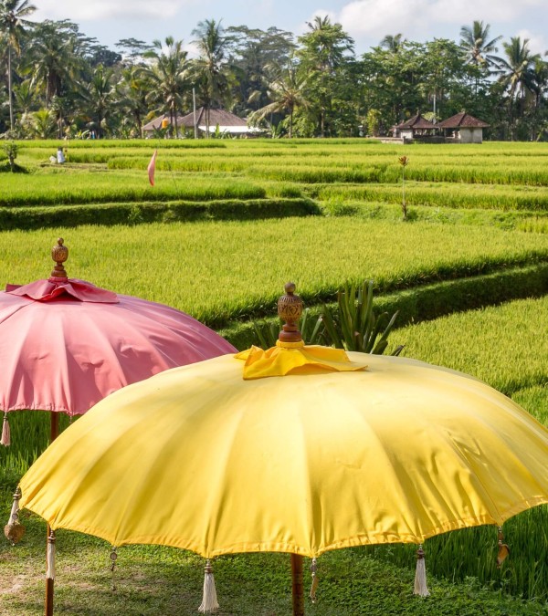 rijstvelden-ubud-bali-travel-1