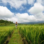 rijstvelden-van-jatiluwih-bali