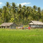 riung-flores-balitravel-1