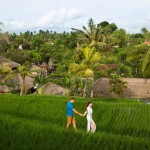 santi-mandala-ubud-rijstterrassen-balitravel-2
