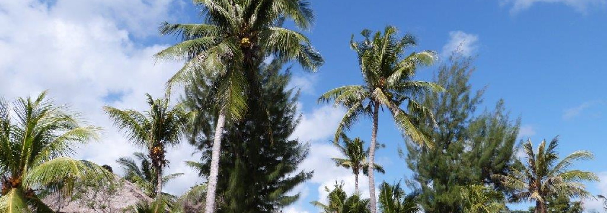 sea-world-club-hotel-maumere