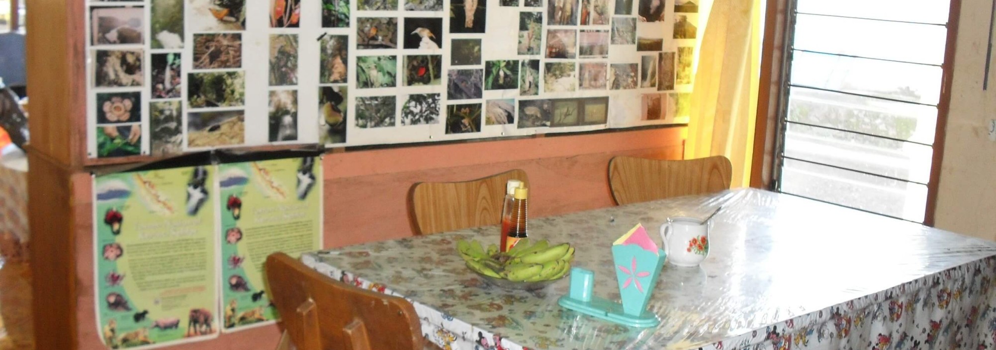 subandi-homestay-eethoek-kerik-tuo-kerinci-sumatra