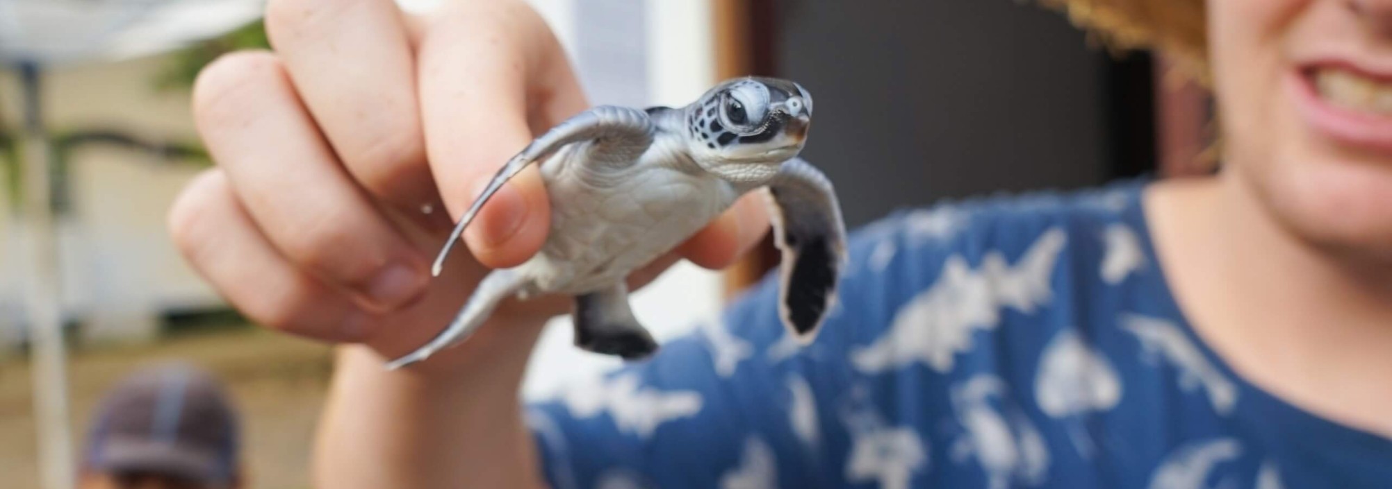 sukamade-schildpadden-java-excursie-tour-balitravel-1