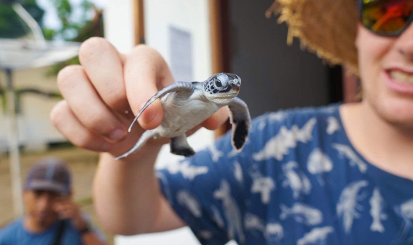 sukamade-schildpadden-java-excursie-tour-balitravel-2