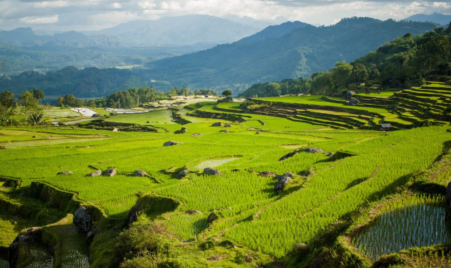tana-toraja-sulawesi