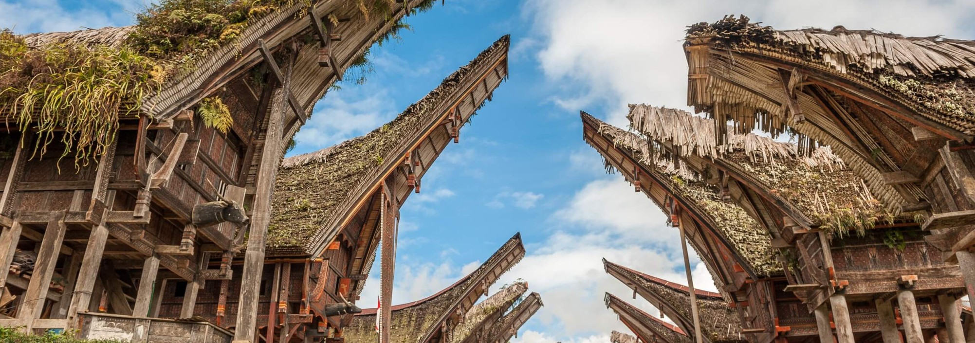 tana-toraja-sulawesi-balitravel-1