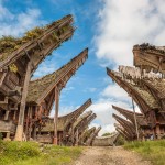 tana-toraja-sulawesi-balitravel-2