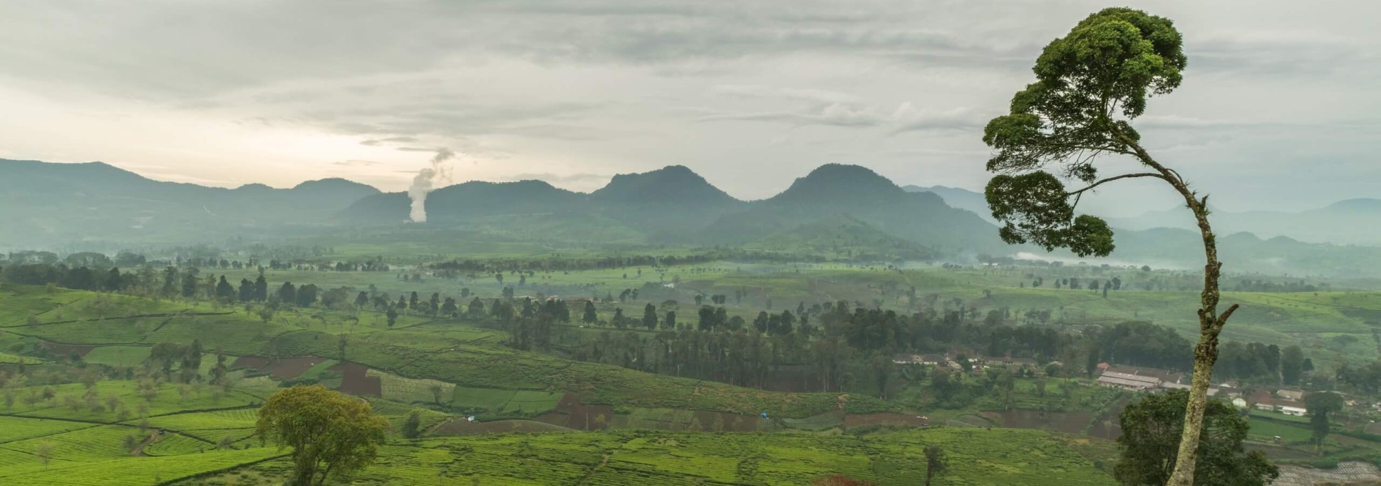 theeplantages-malabar-bandung-balitravel