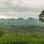 theeplantages-malabar-bandung-balitravel