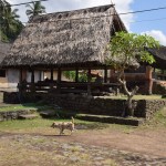 traditioneel-dorp-tenganan-bali-balitravel