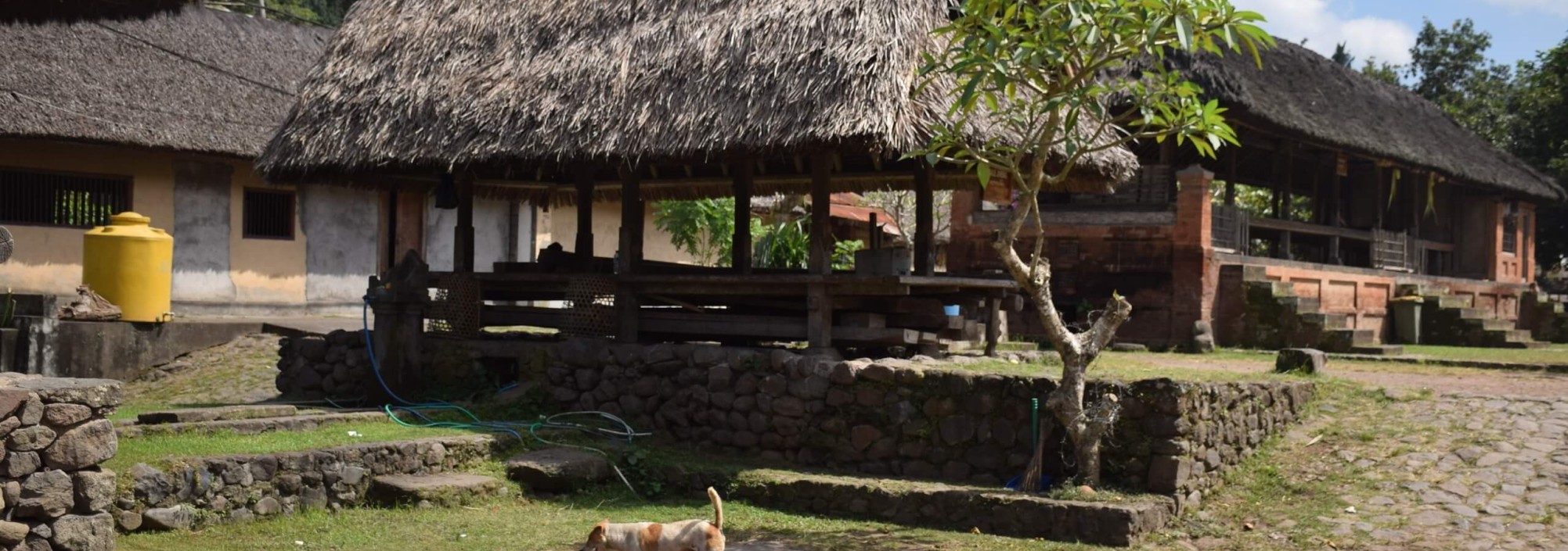 traditioneel-dorp-tenganan-bali-balitravel