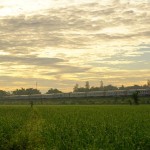 trein-landschap-java