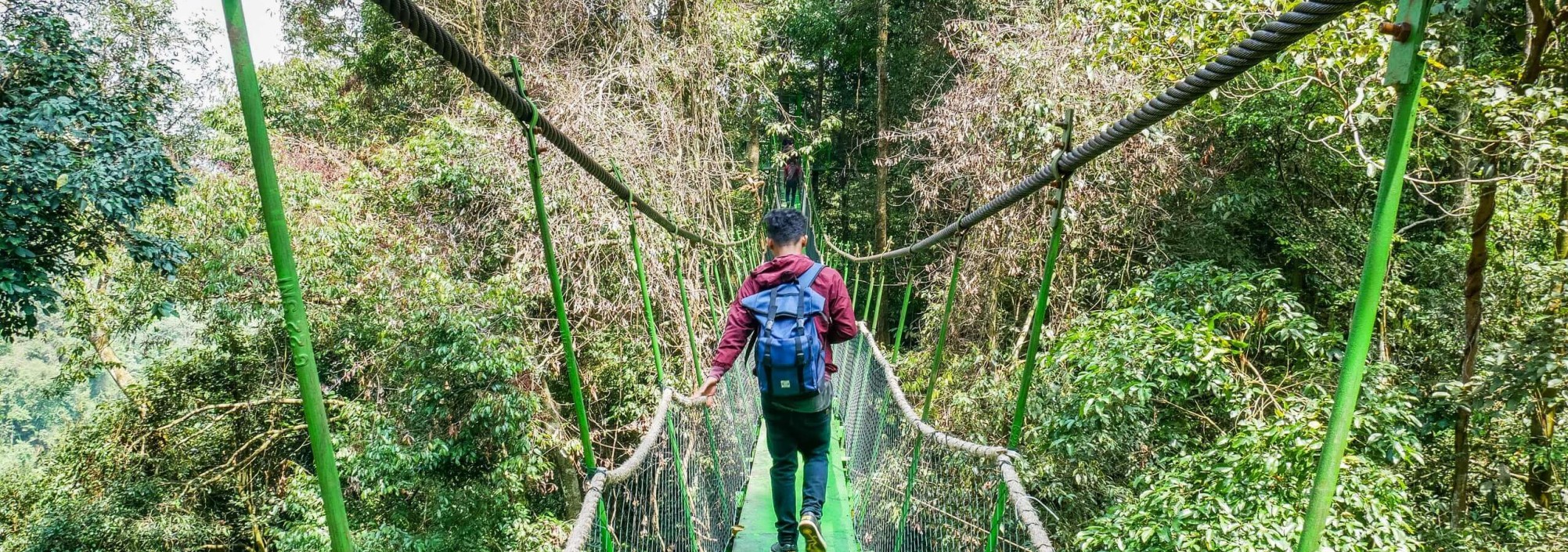 trekking-bukit-lawang-sumatra-balitravel