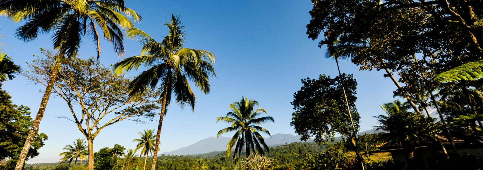 tuin-ijen-resort-villas-java-balitravel