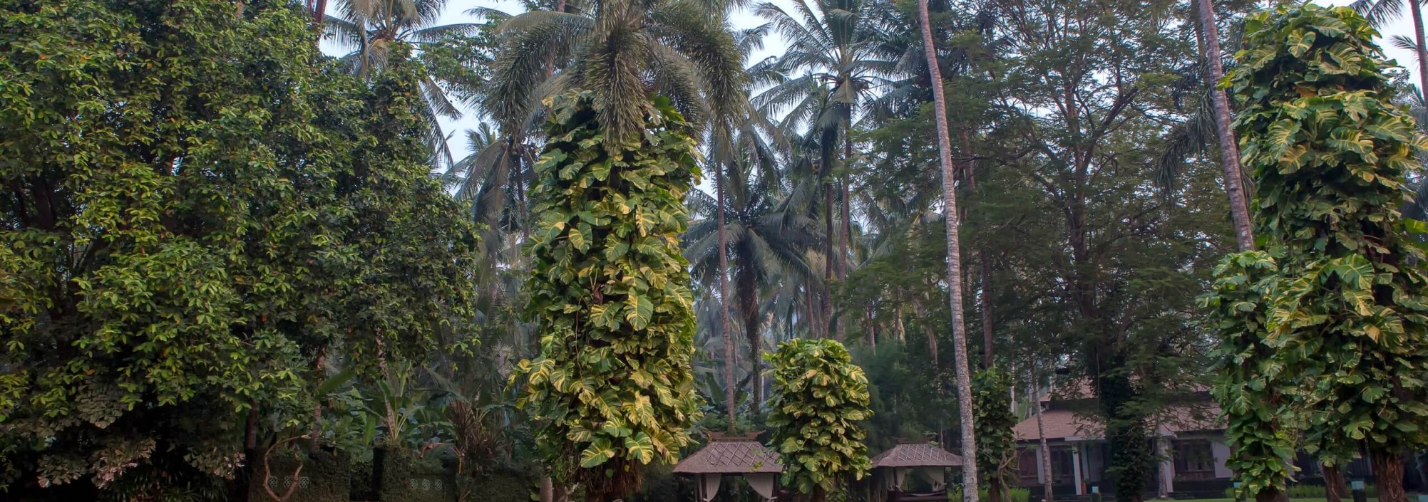 tuin-rama-candidasa-resort-balitravel