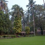 tuin-rama-candidasa-resort-balitravel