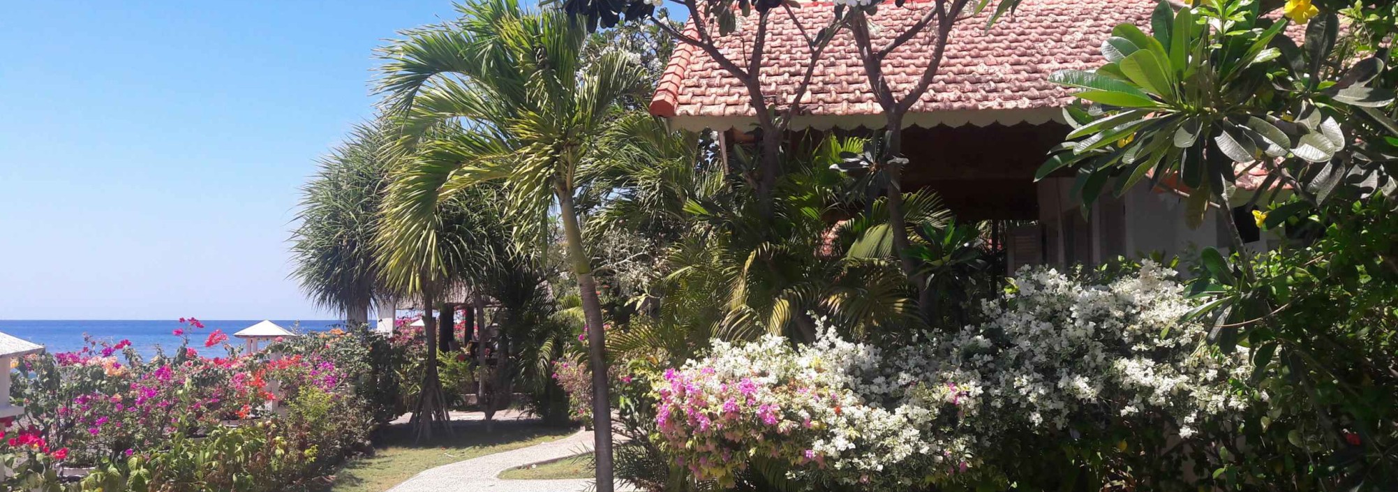 tuin-zee-kembali-beach-bungalows-amed-balitravel