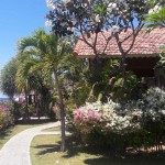 tuin-zee-kembali-beach-bungalows-amed-balitravel