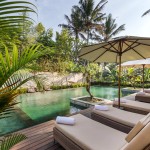 ubud-radha-phala-resort-1