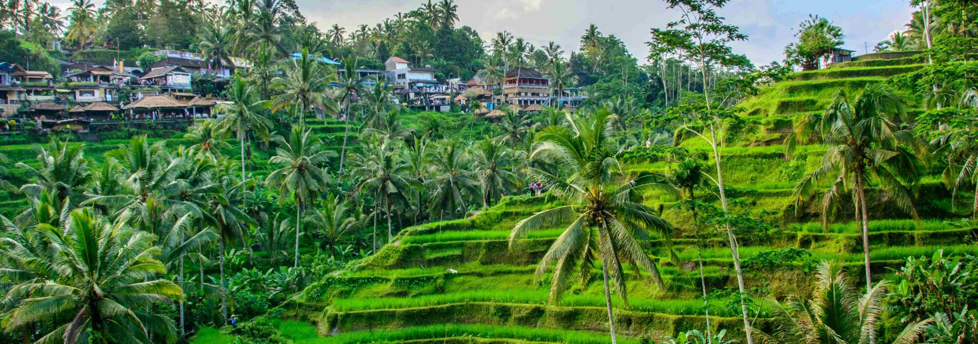 ubud-rijstterrassen-ubud-balitravel