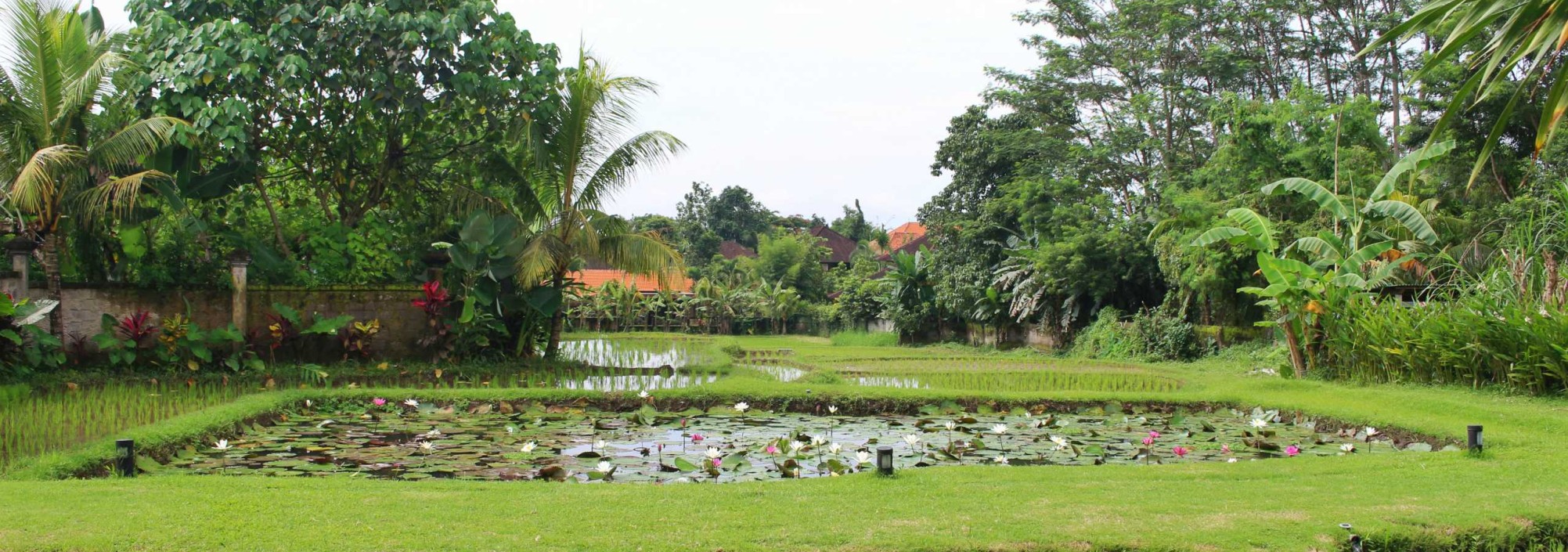 uitzicht-deluxe-garden-saren-indah-ubud-balitravel